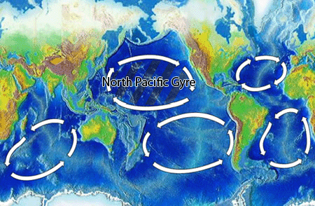 Plastový kontinent, Zdroj: wikipedia.org